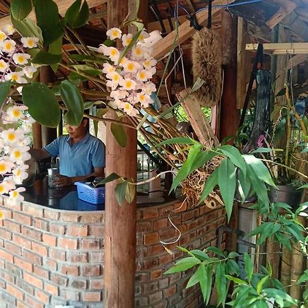 Loren Homestay Phong Nha Exteriör bild